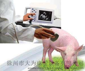 猪用B超机/母猪测孕仪/背腰测定仪/兽用B超机厂家/猪B超机多少钱