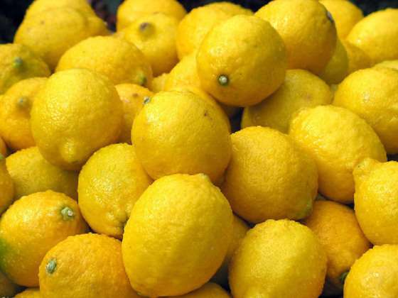 优质柠檬，优质嫁接柠檬苗，柠檬苗批发，柠檬苗种植，四季柠檬果