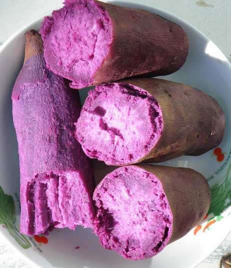 紫薯紫罗兰