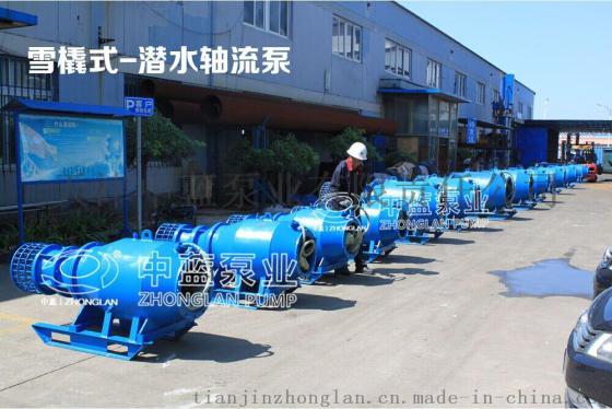 天津中蓝卧式雪橇式潜水轴流泵、雪橇式潜水泵